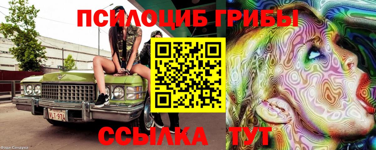 Ахтубинск  Галлюциногенные грибы GOLDEN TEACHER  Вход с VPN 