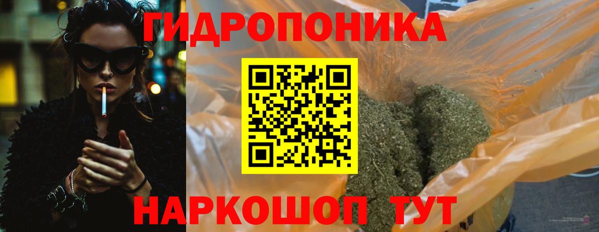 Бошки марихуана OG Kush Ахтубинск